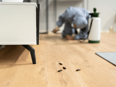 About Portage Organic Pest Control - organic pest control experts in Portage