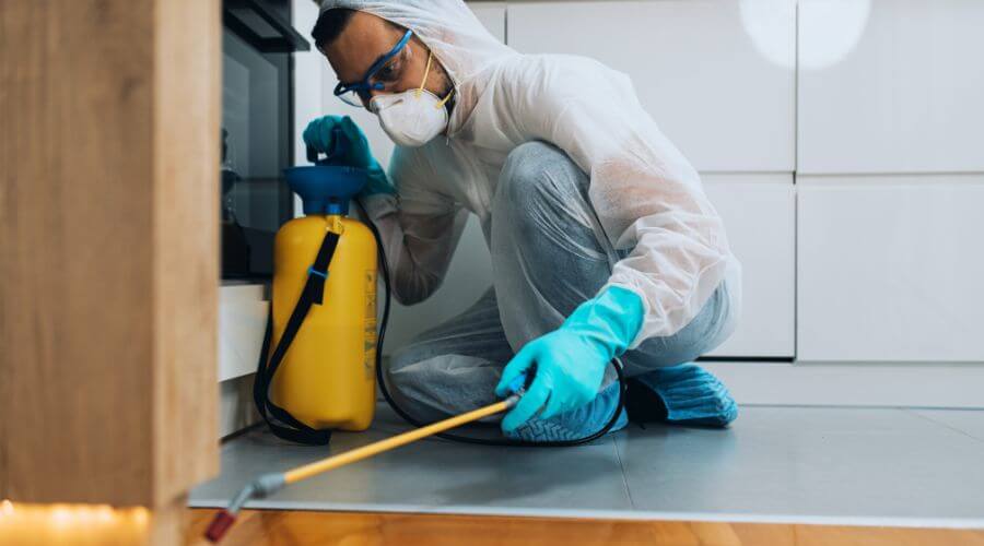 Professional organic pest control services in Portage - Portage Organic Pest Control
