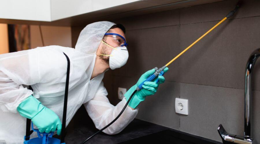Why choose Portage Organic Pest Control for organic pest control in Portage